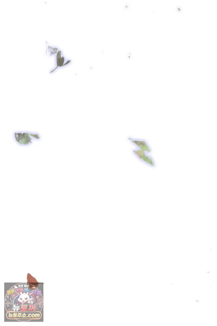 238.jpg