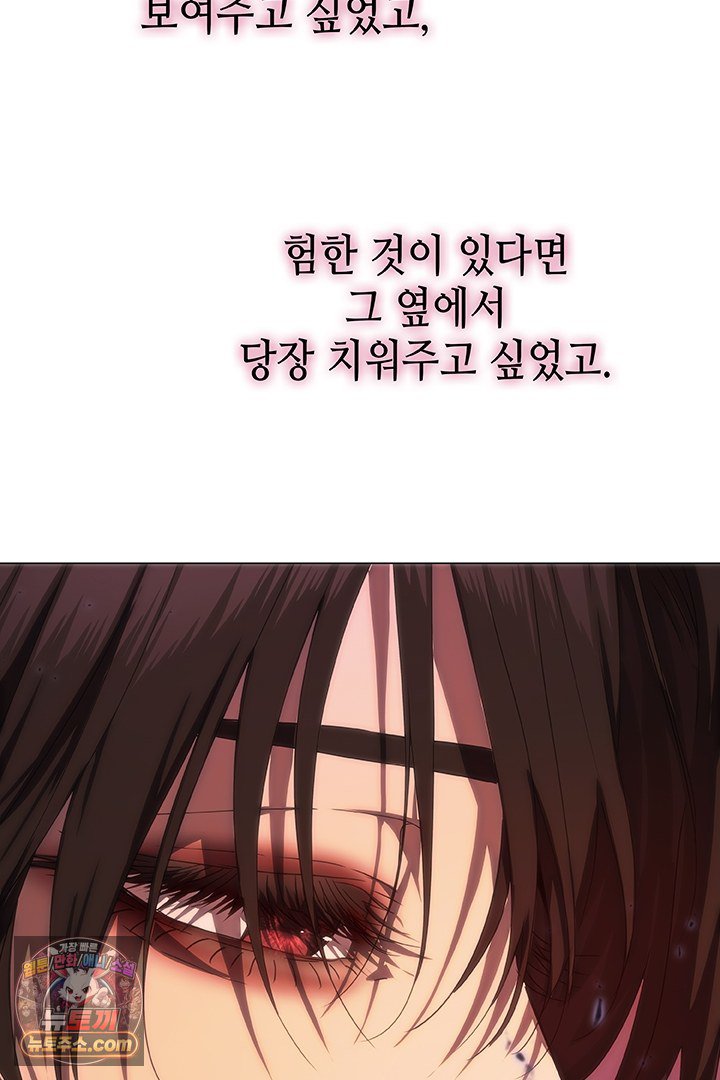 241.jpg