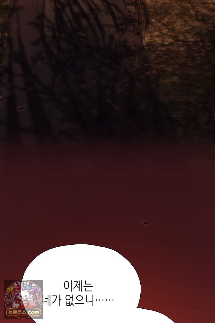 245.jpg
