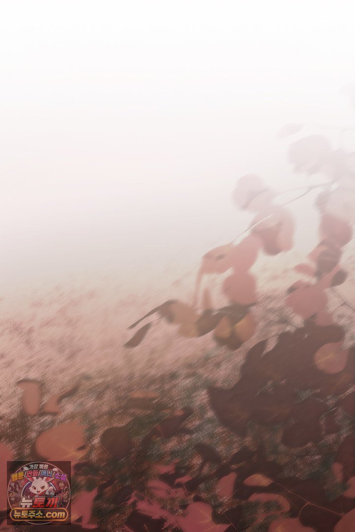 359.jpg