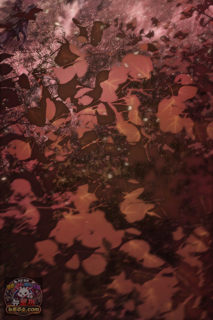 361.jpg
