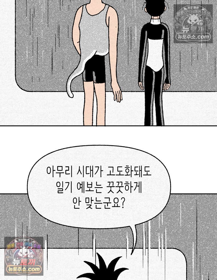 031.jpg