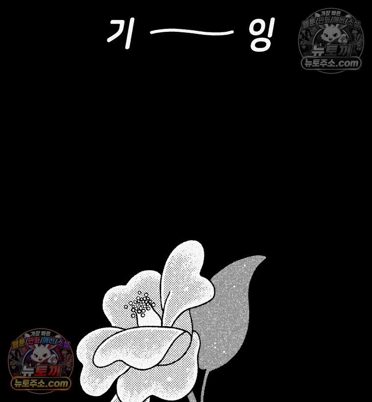 097.jpg