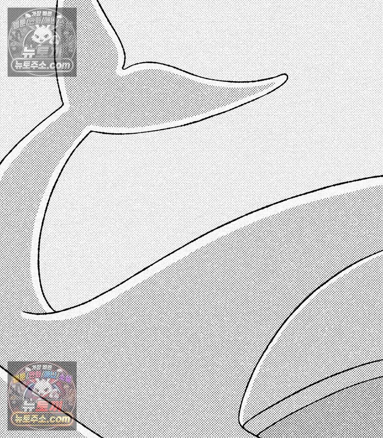 010.jpg