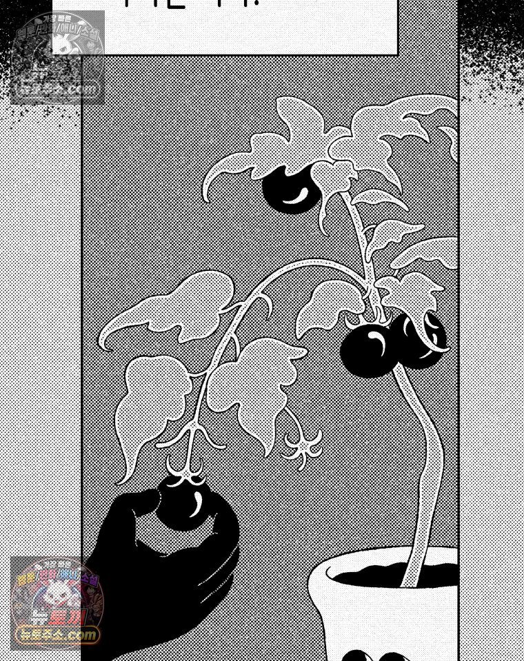 036.jpg