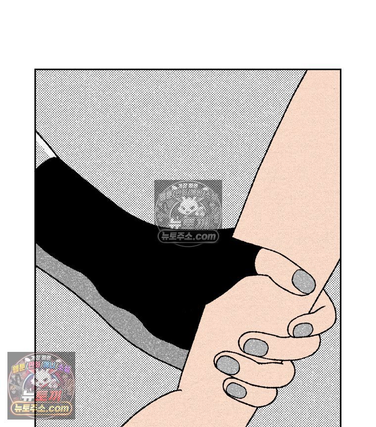 062.jpg