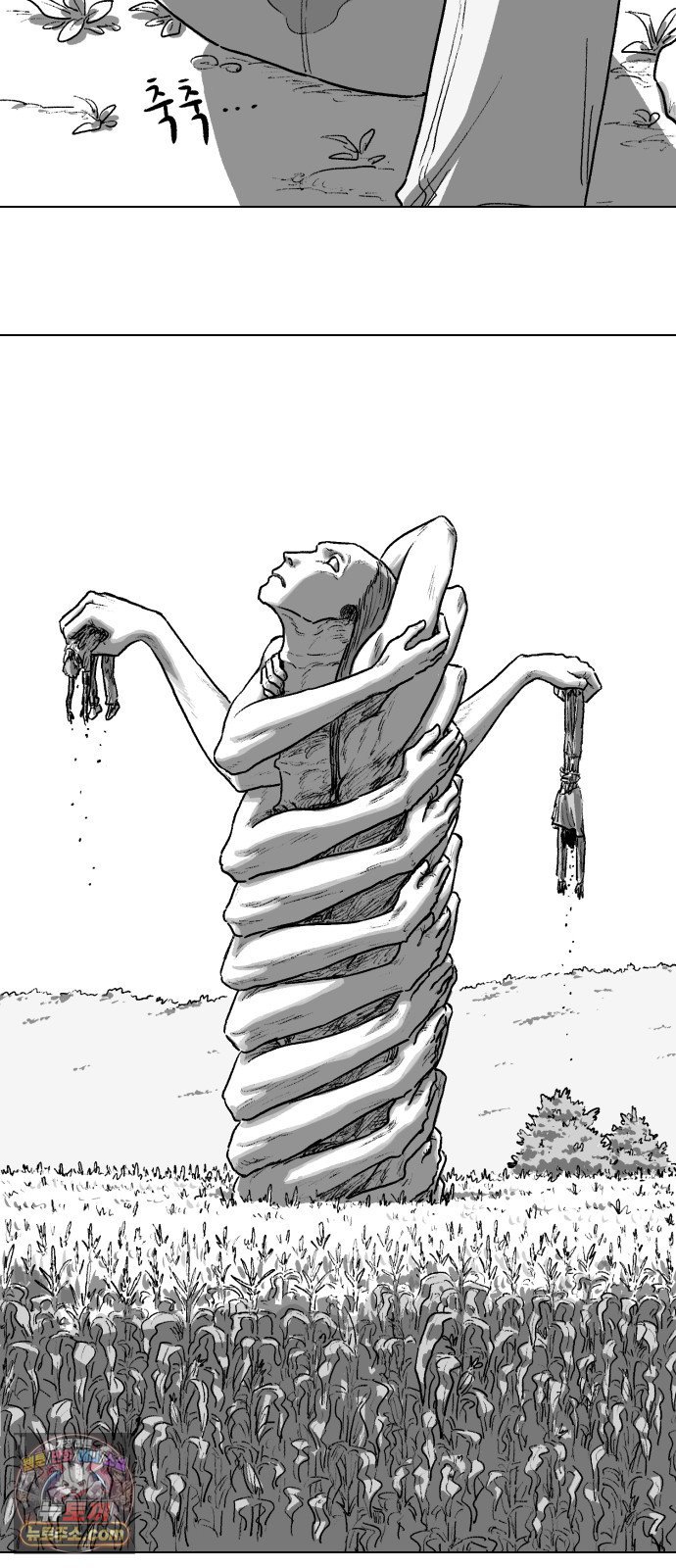 113.jpg