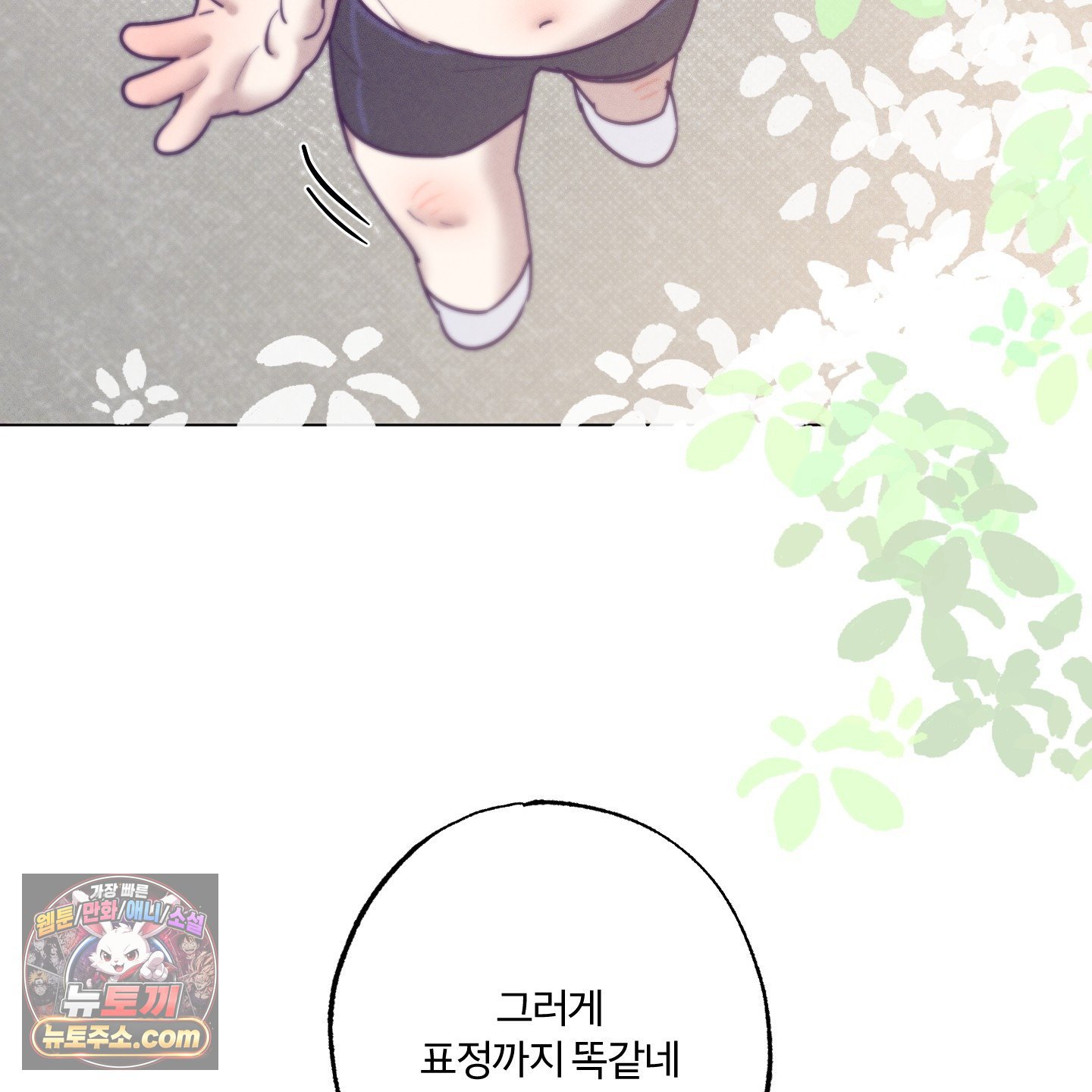 113.jpg