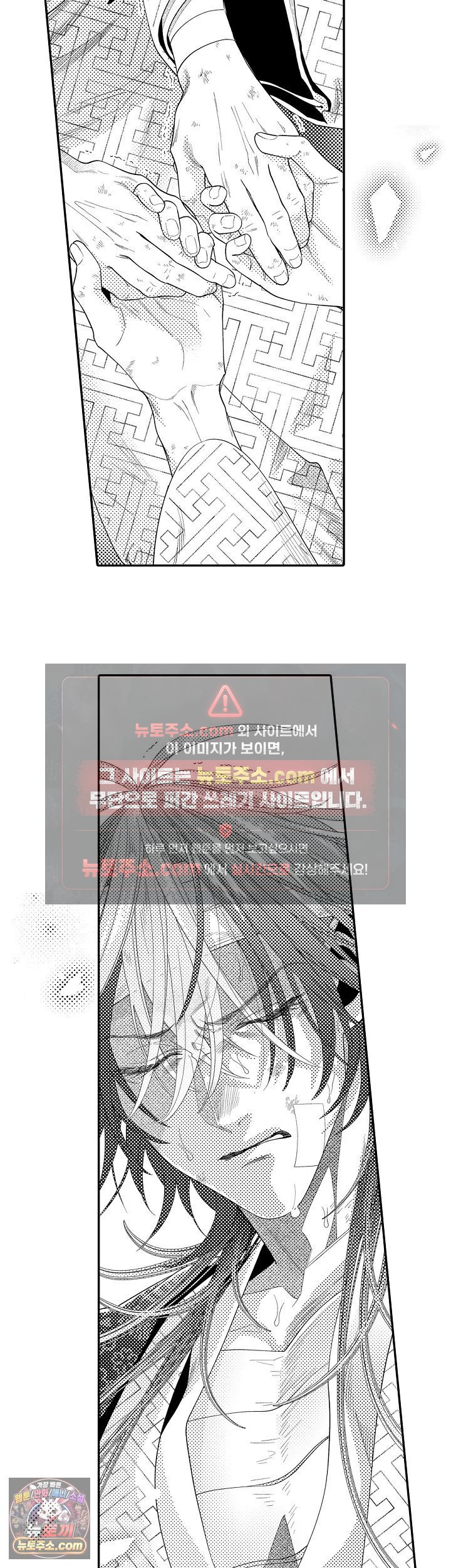 005.jpg