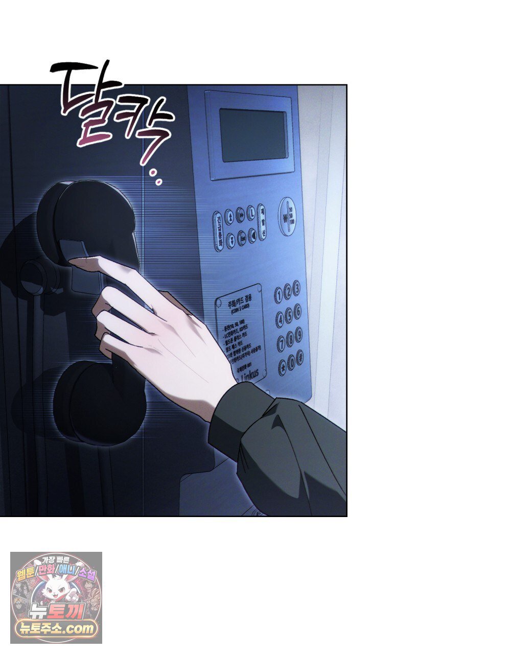 003.jpg