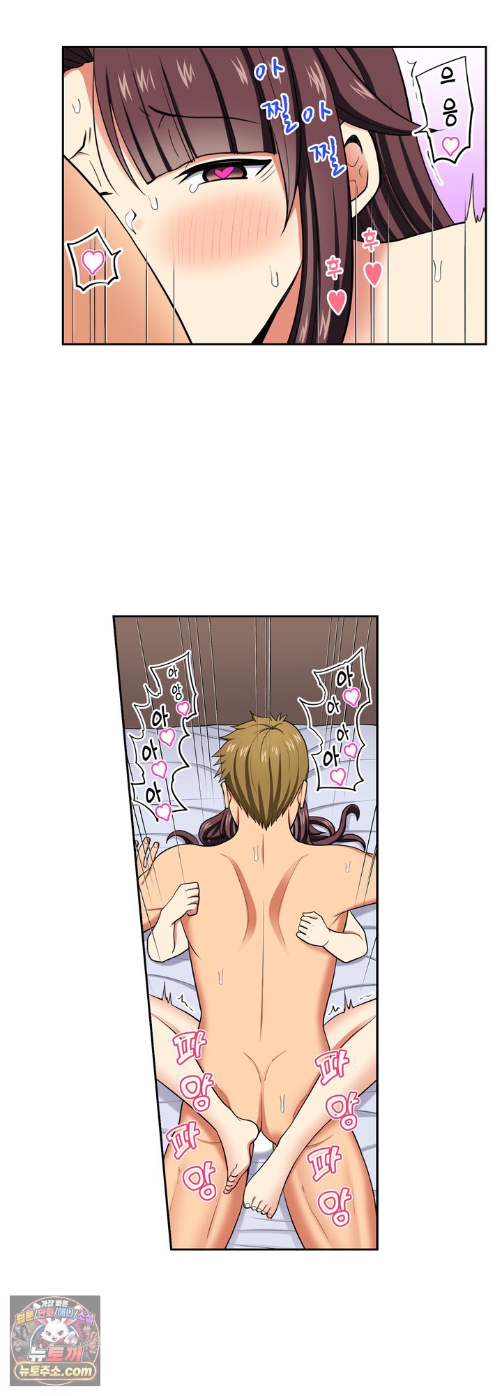 005.jpg