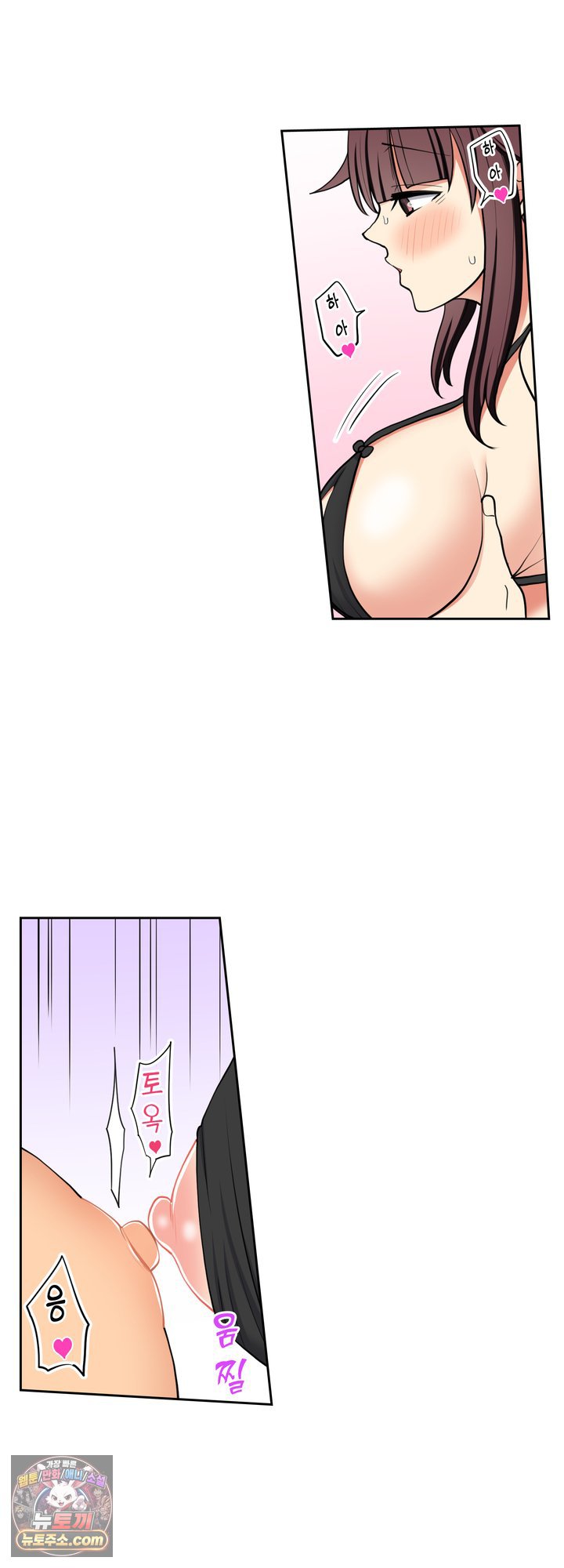 005.jpg