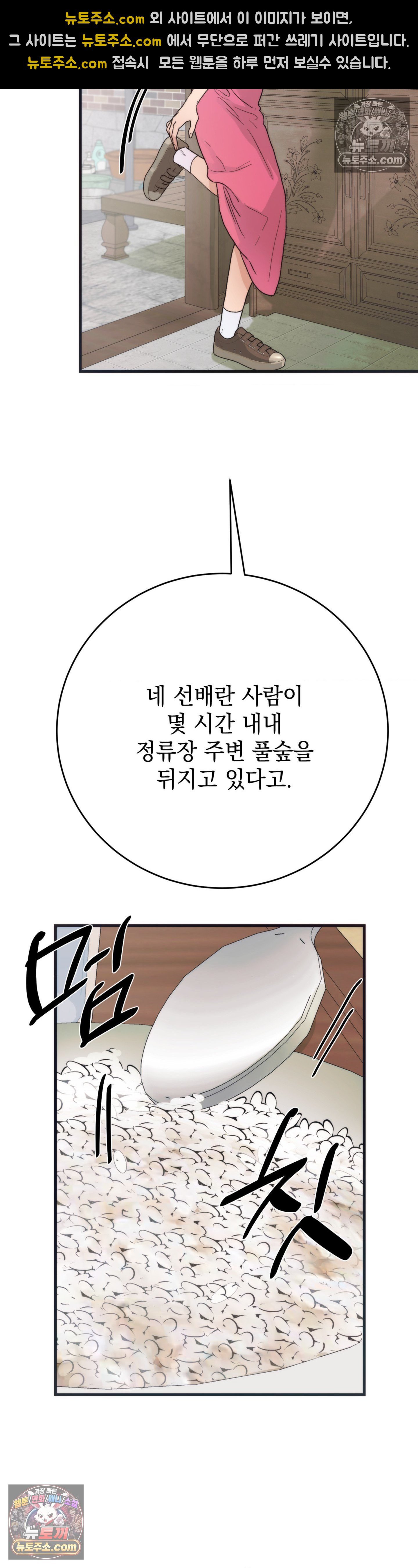008.jpg