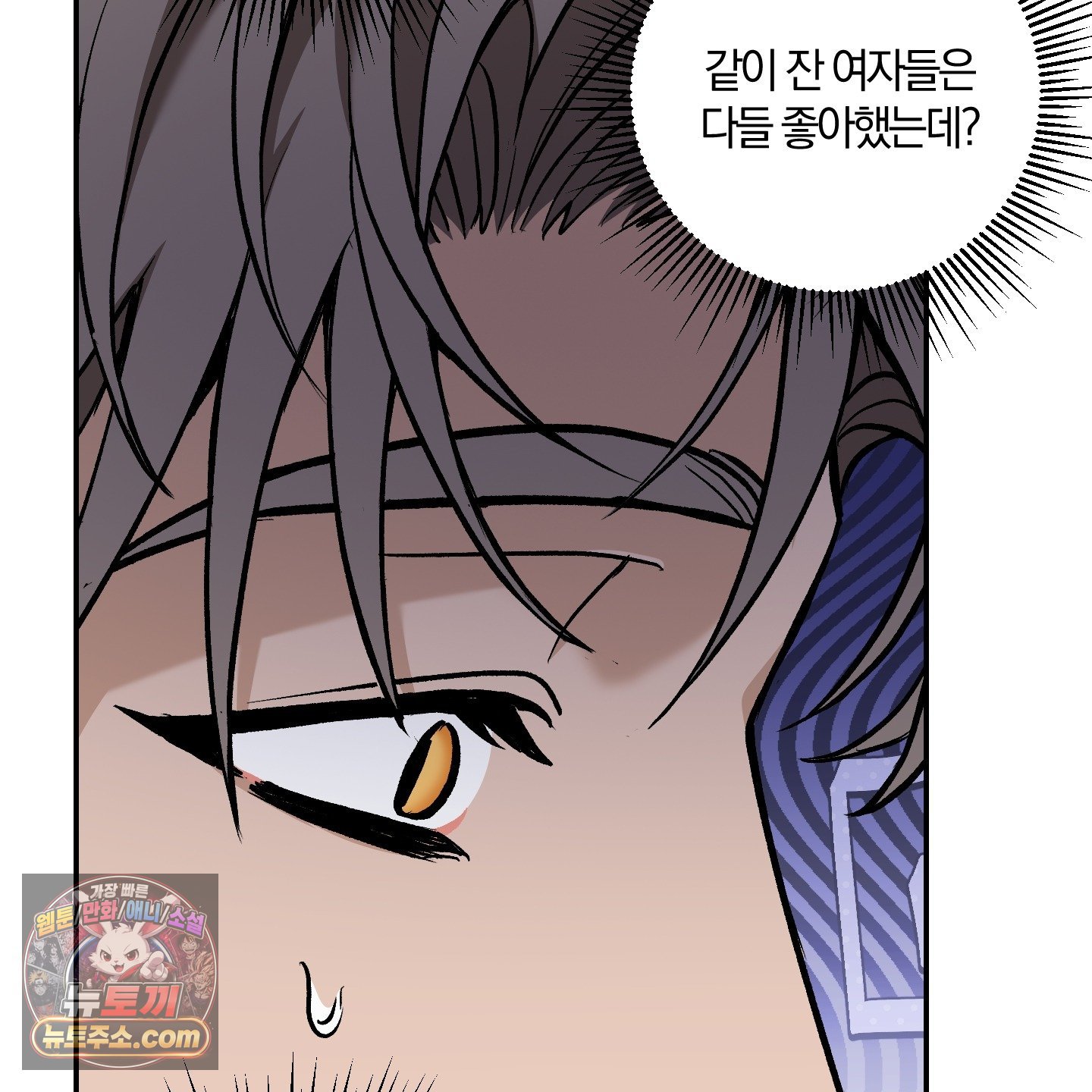 005.jpg