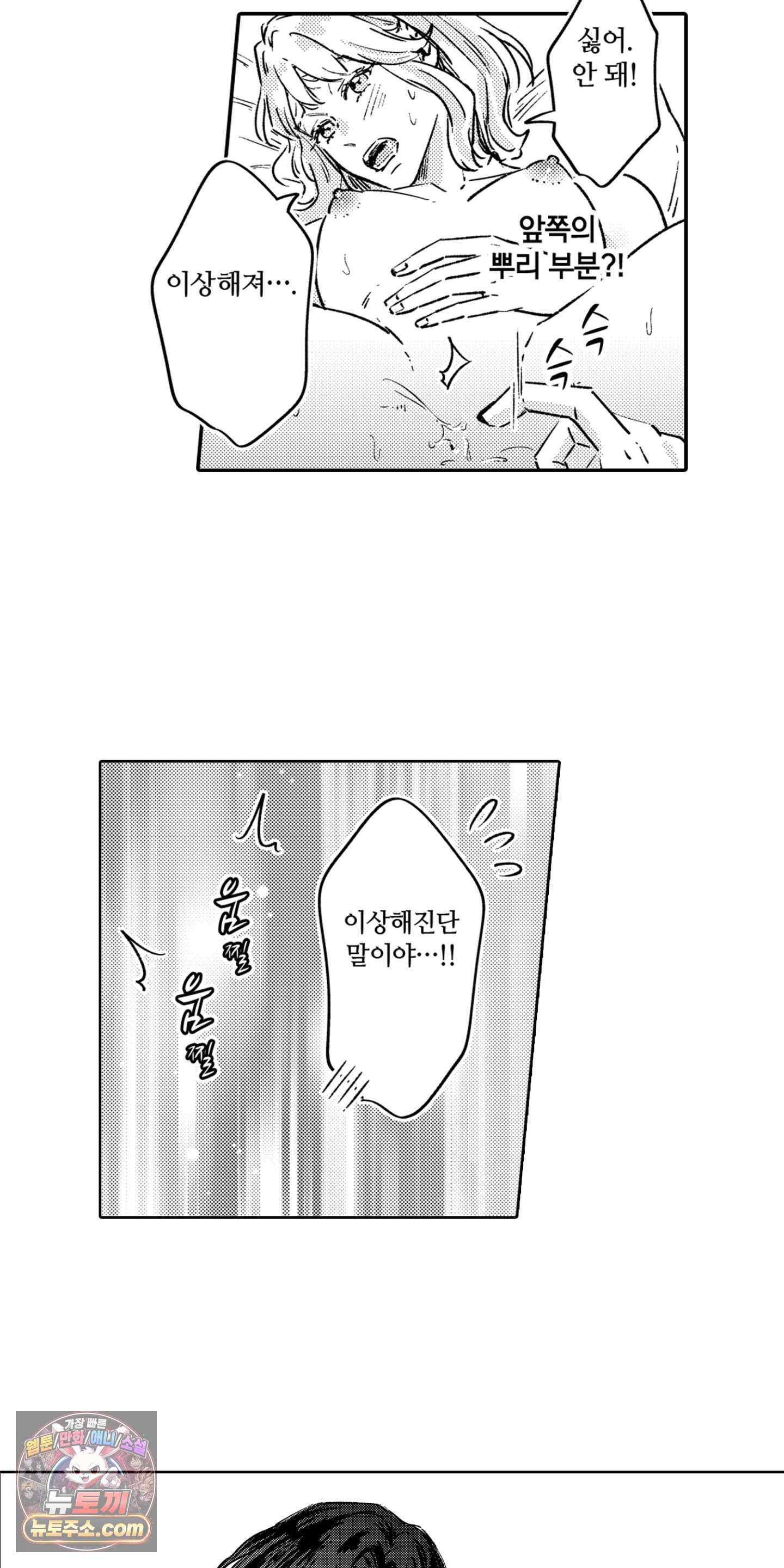 009.jpg