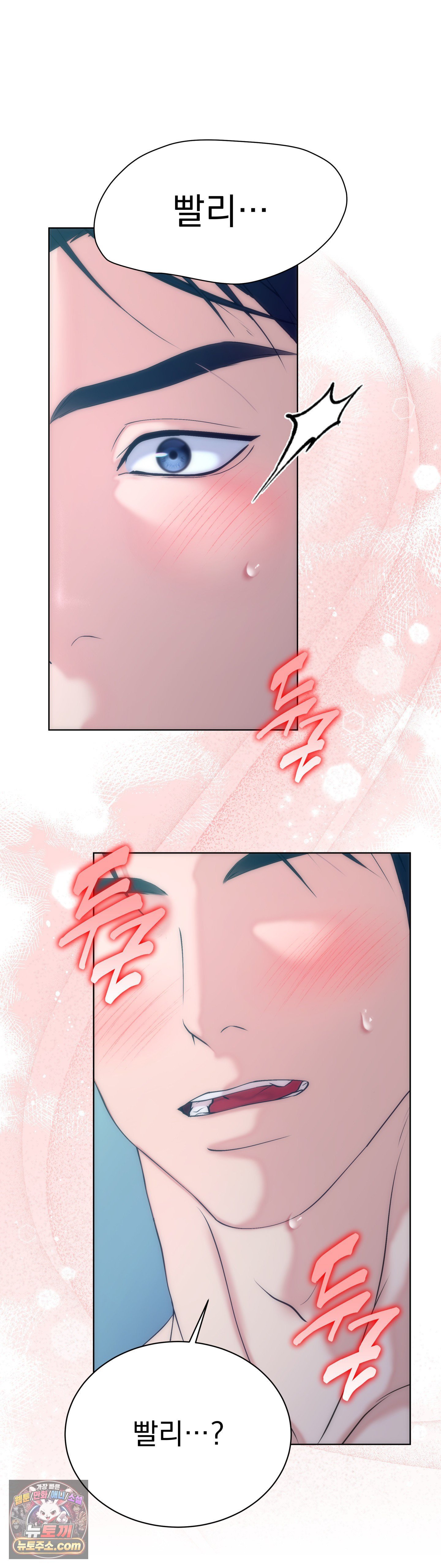 006.jpg