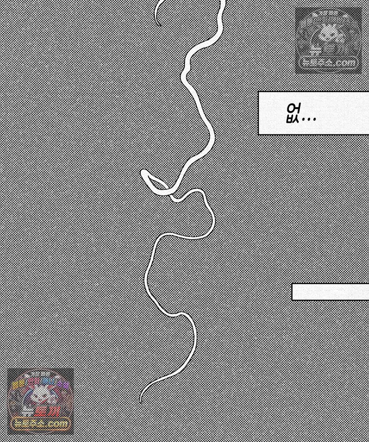 080.jpg