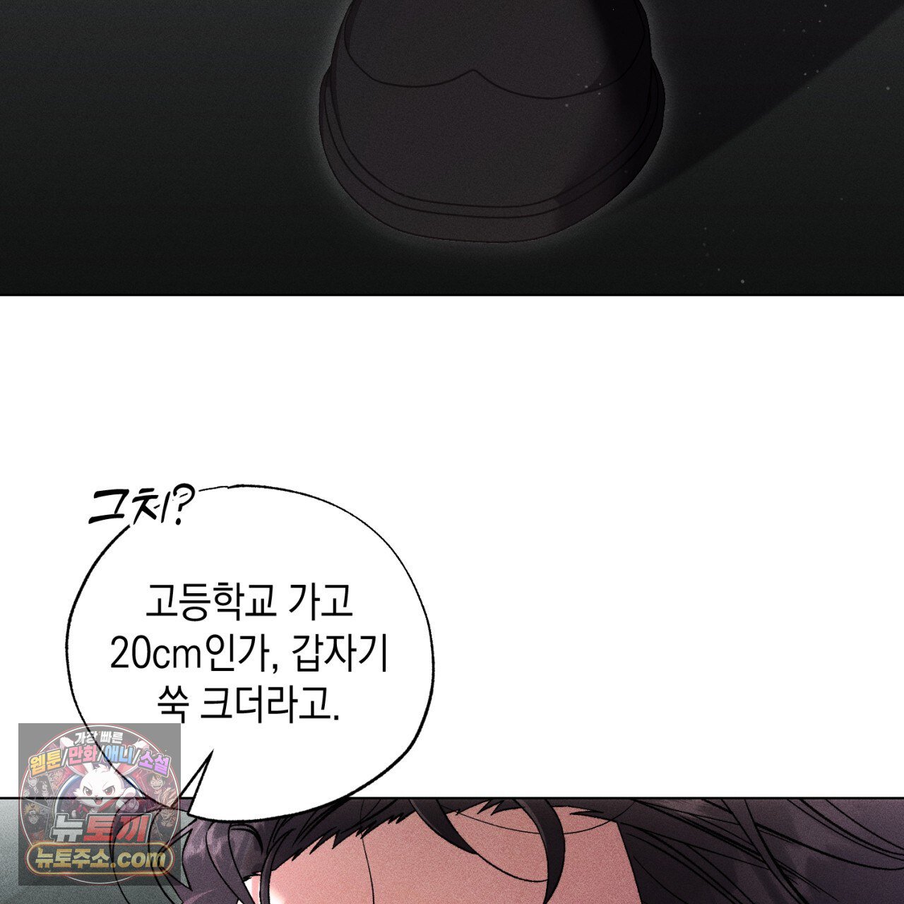 217.jpg