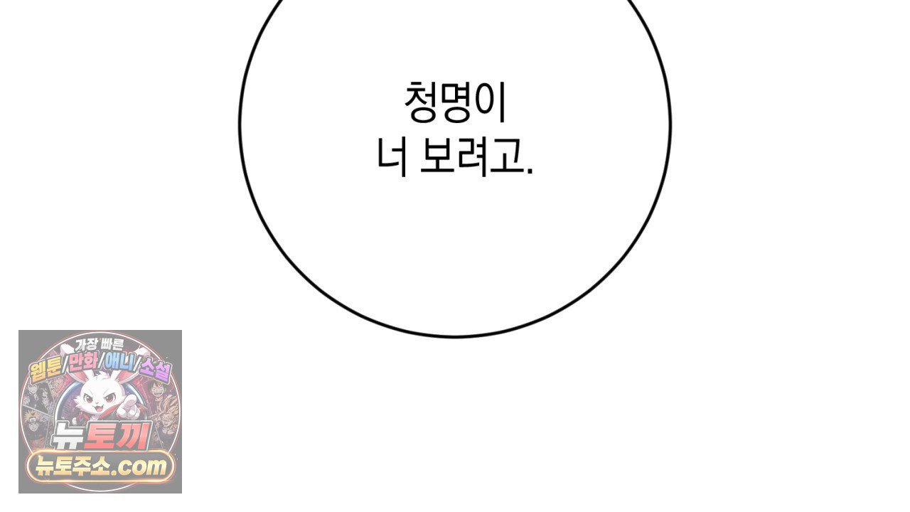 196.jpg