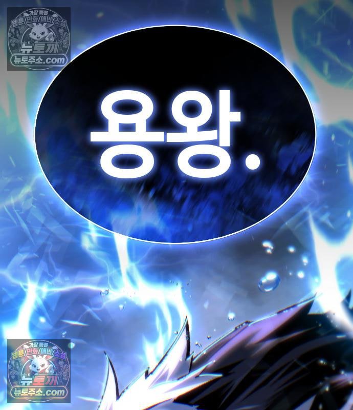 337.jpg