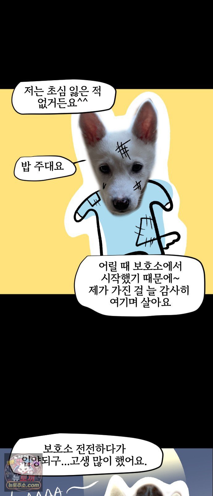 009.jpg