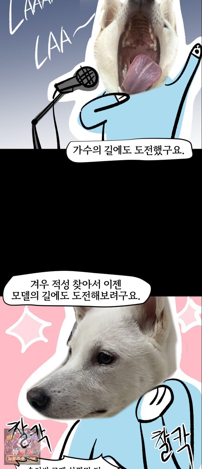 010.jpg