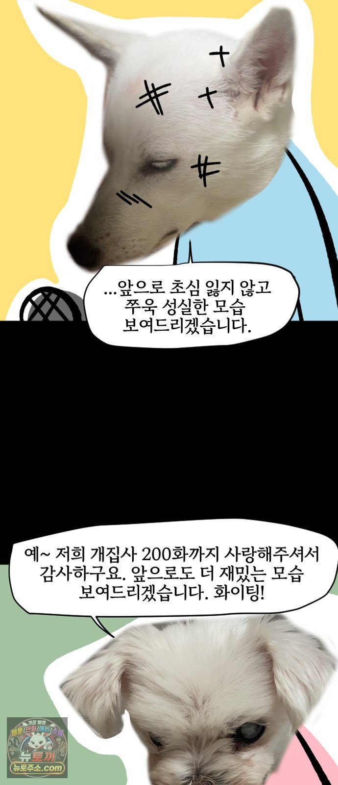 017.jpg