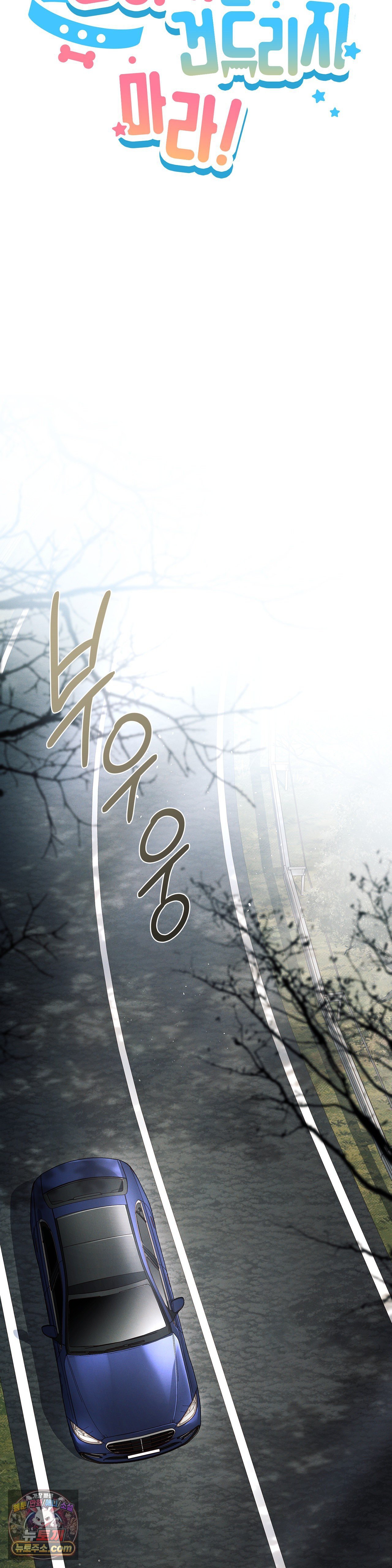 009.jpg