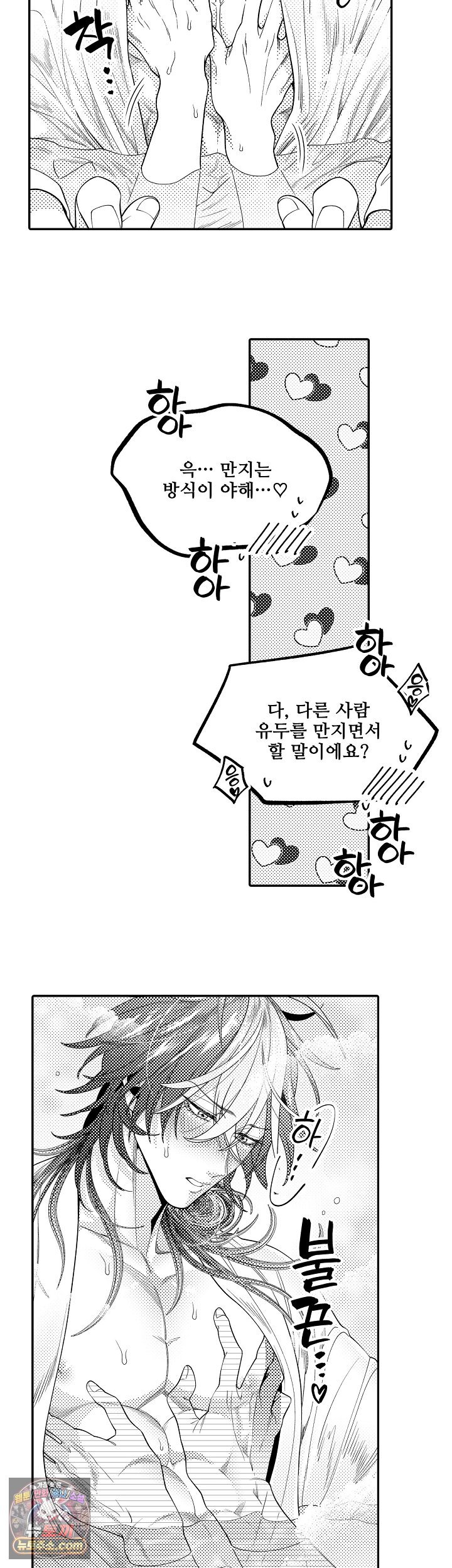 005.jpg