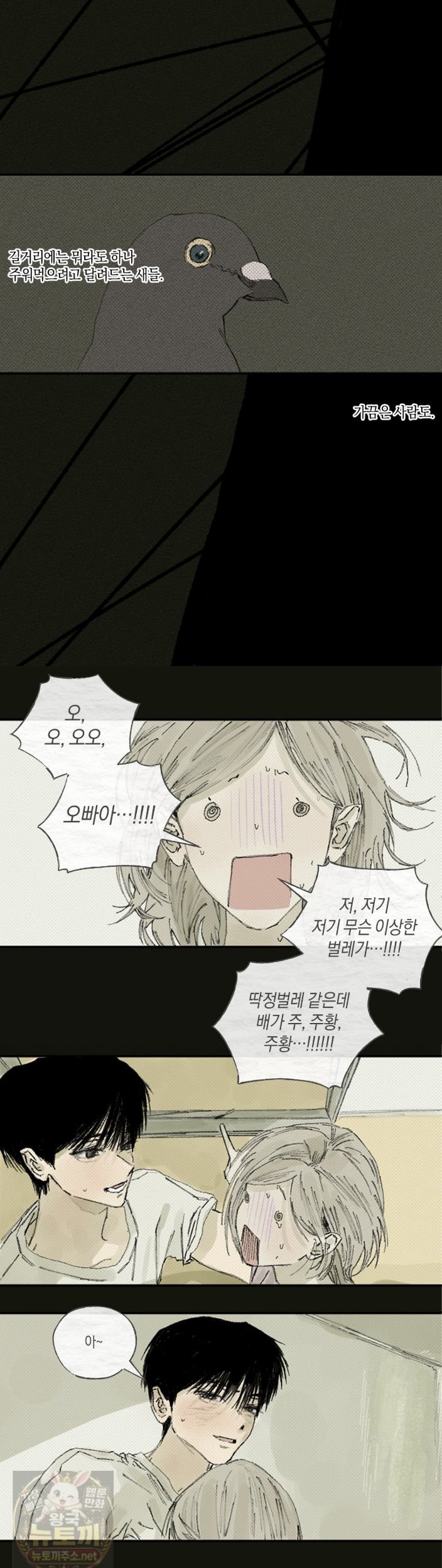 006.jpg
