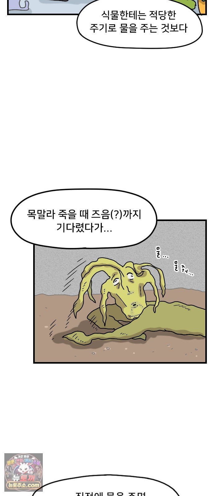 004.jpg