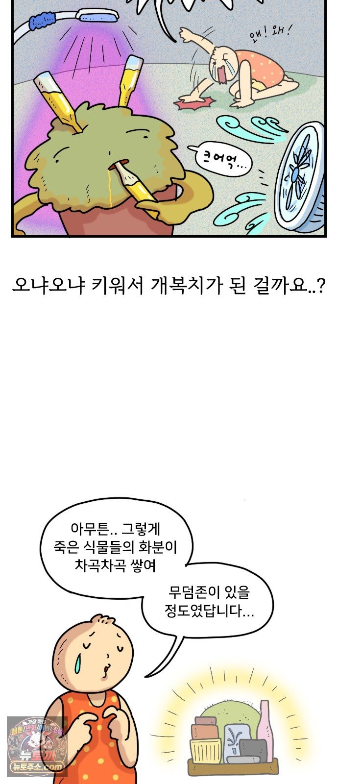 010.jpg