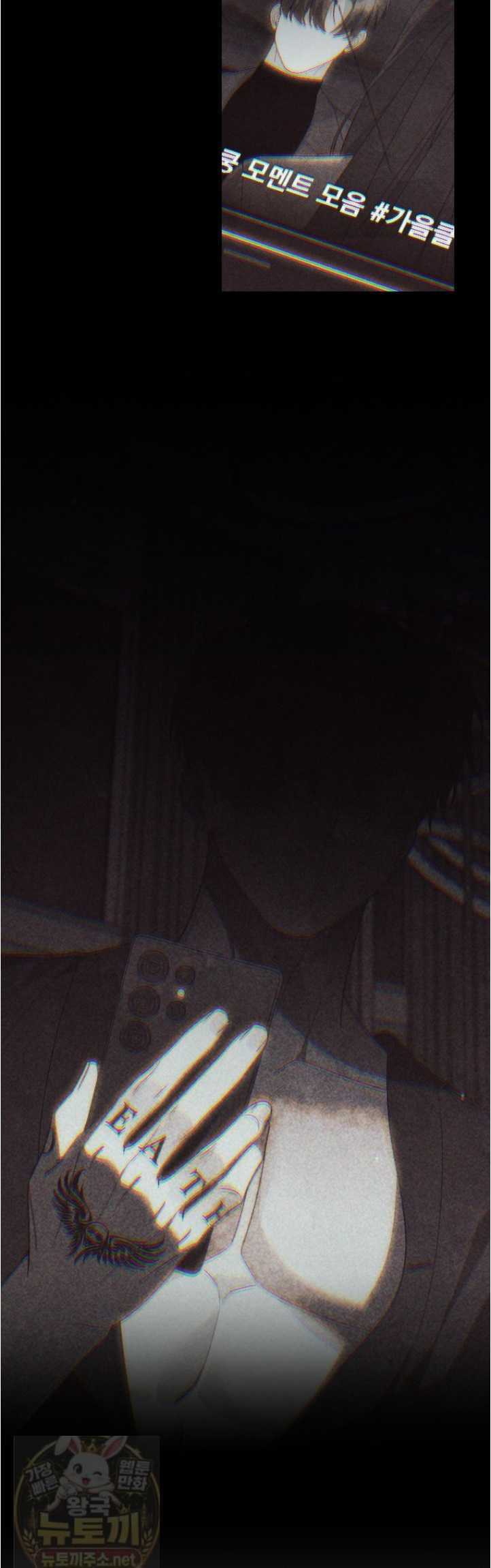 017.jpg