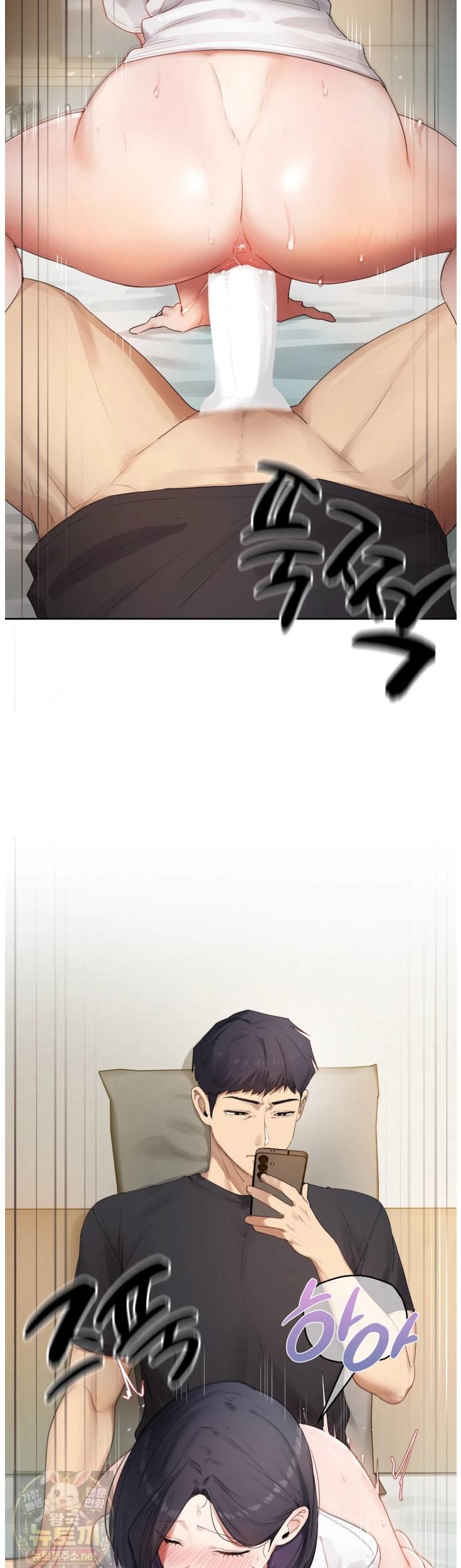 005.jpg