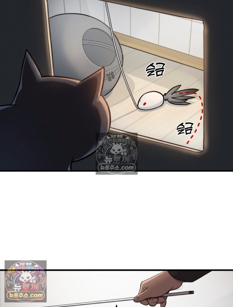 142.jpg