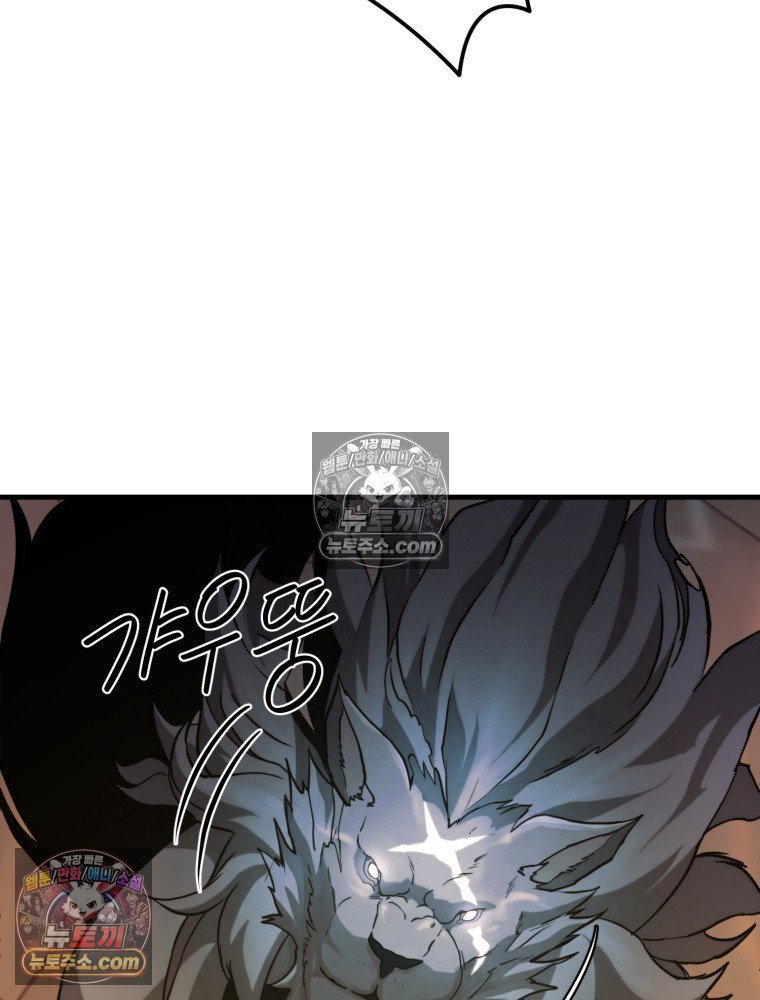 243.jpg