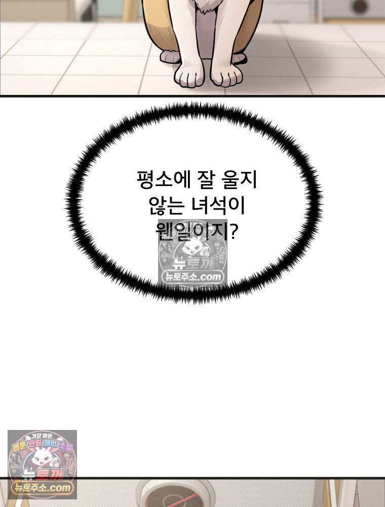 113.jpg