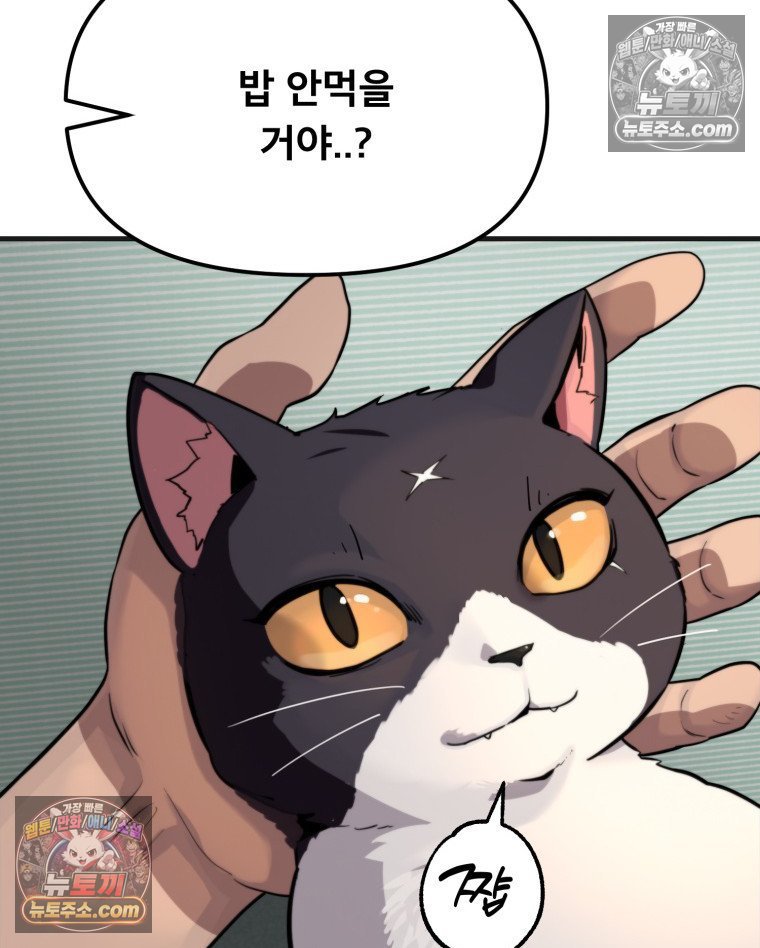 123.jpg