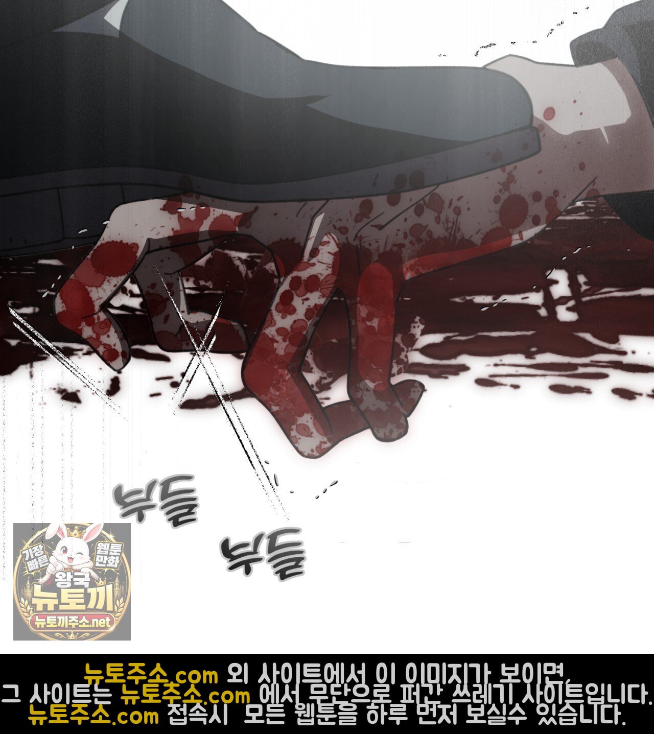 219.jpg