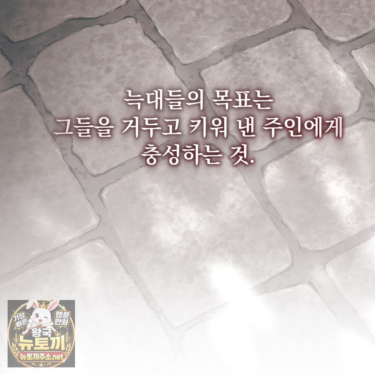 103.jpg