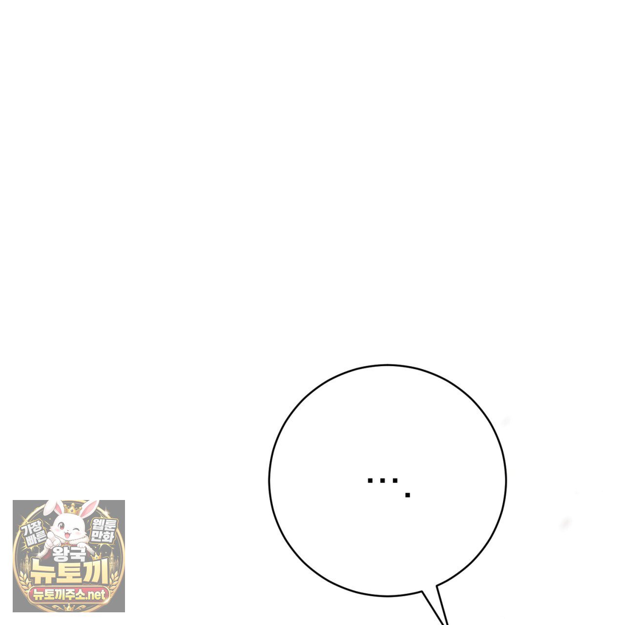 243.jpg