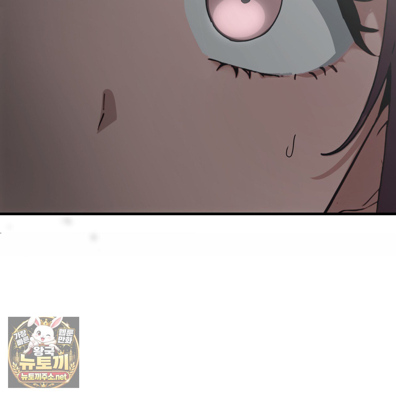 217.jpg
