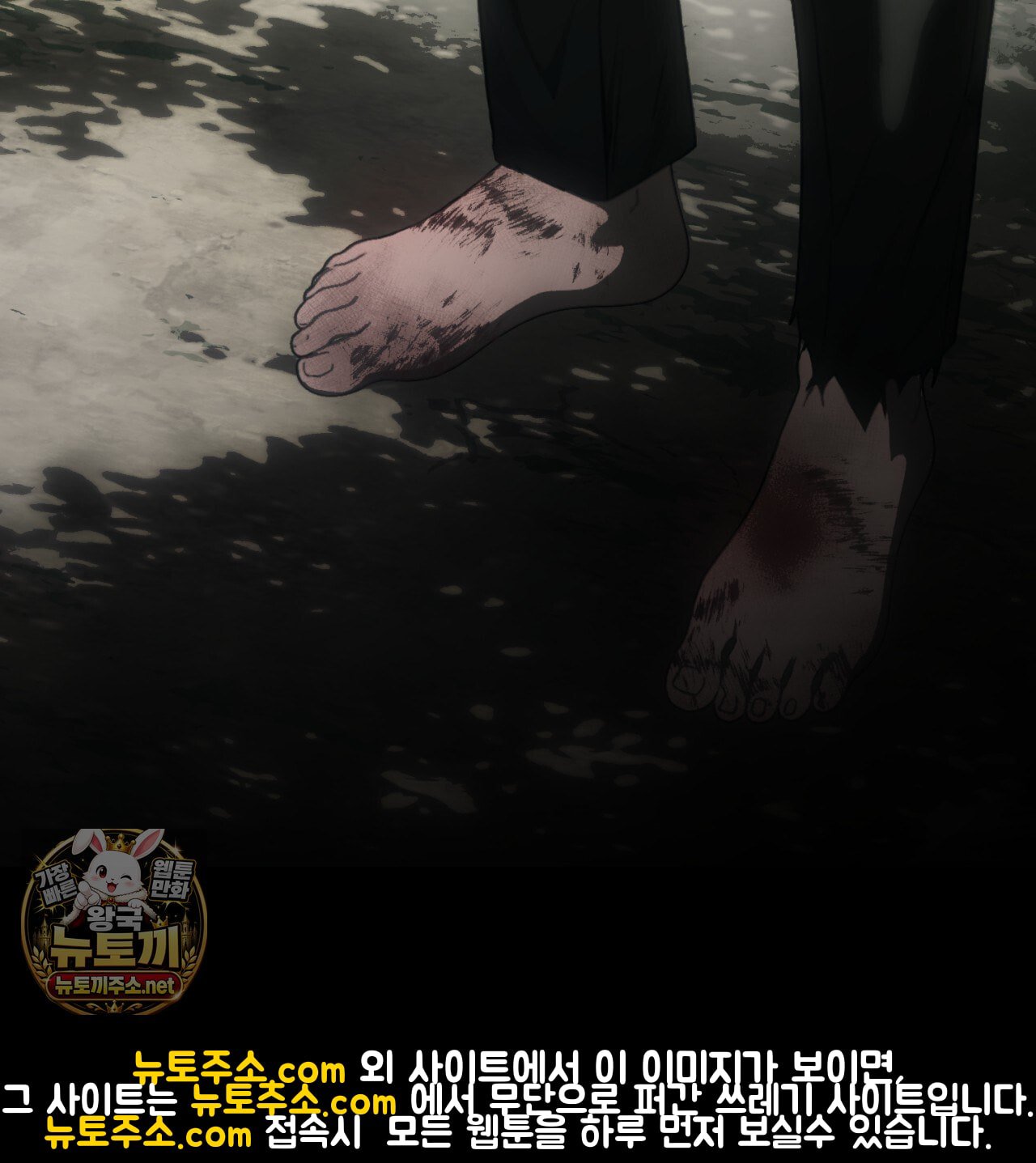 003.jpg