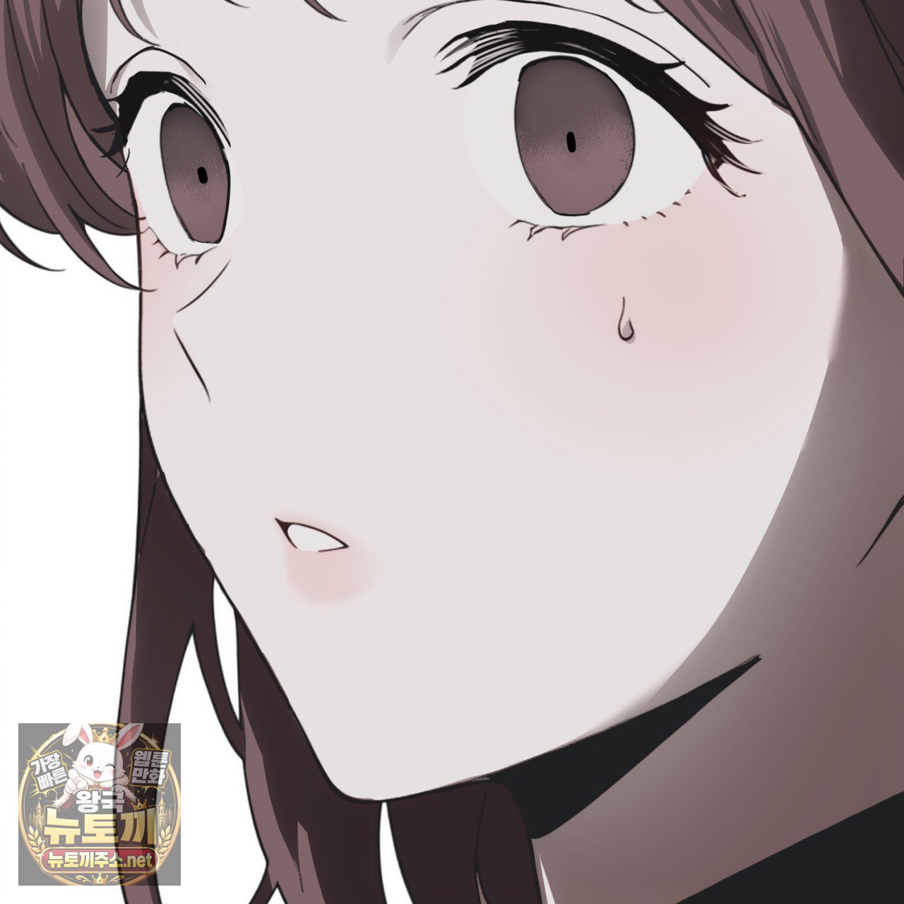 115.jpg