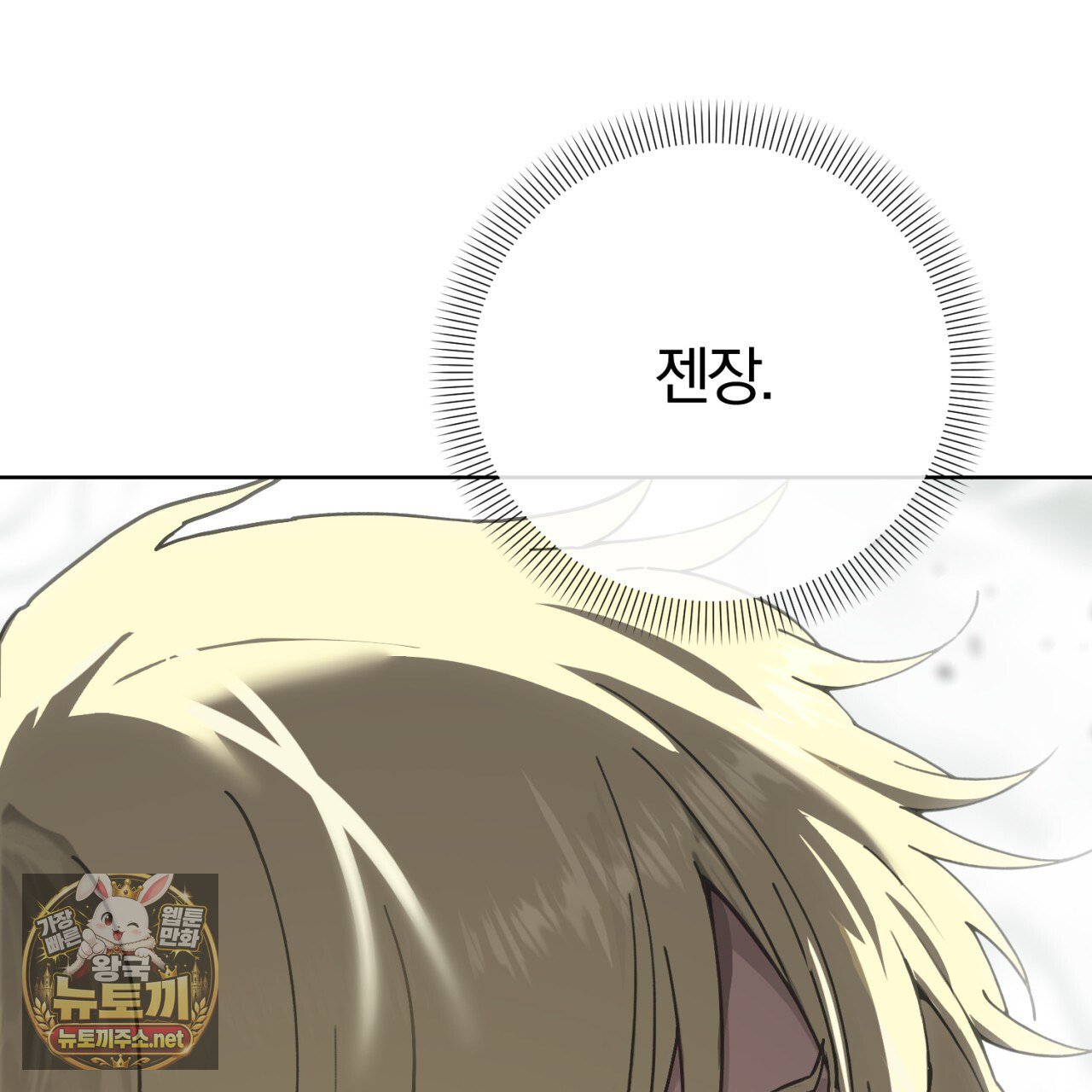 213.jpg