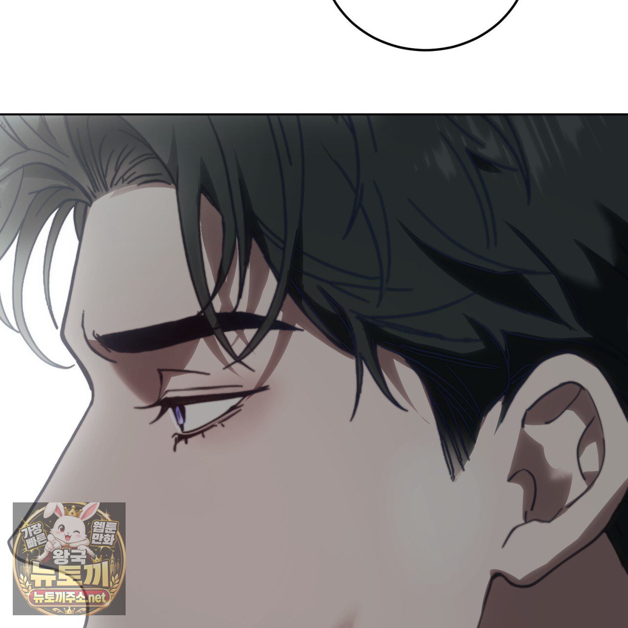 221.jpg