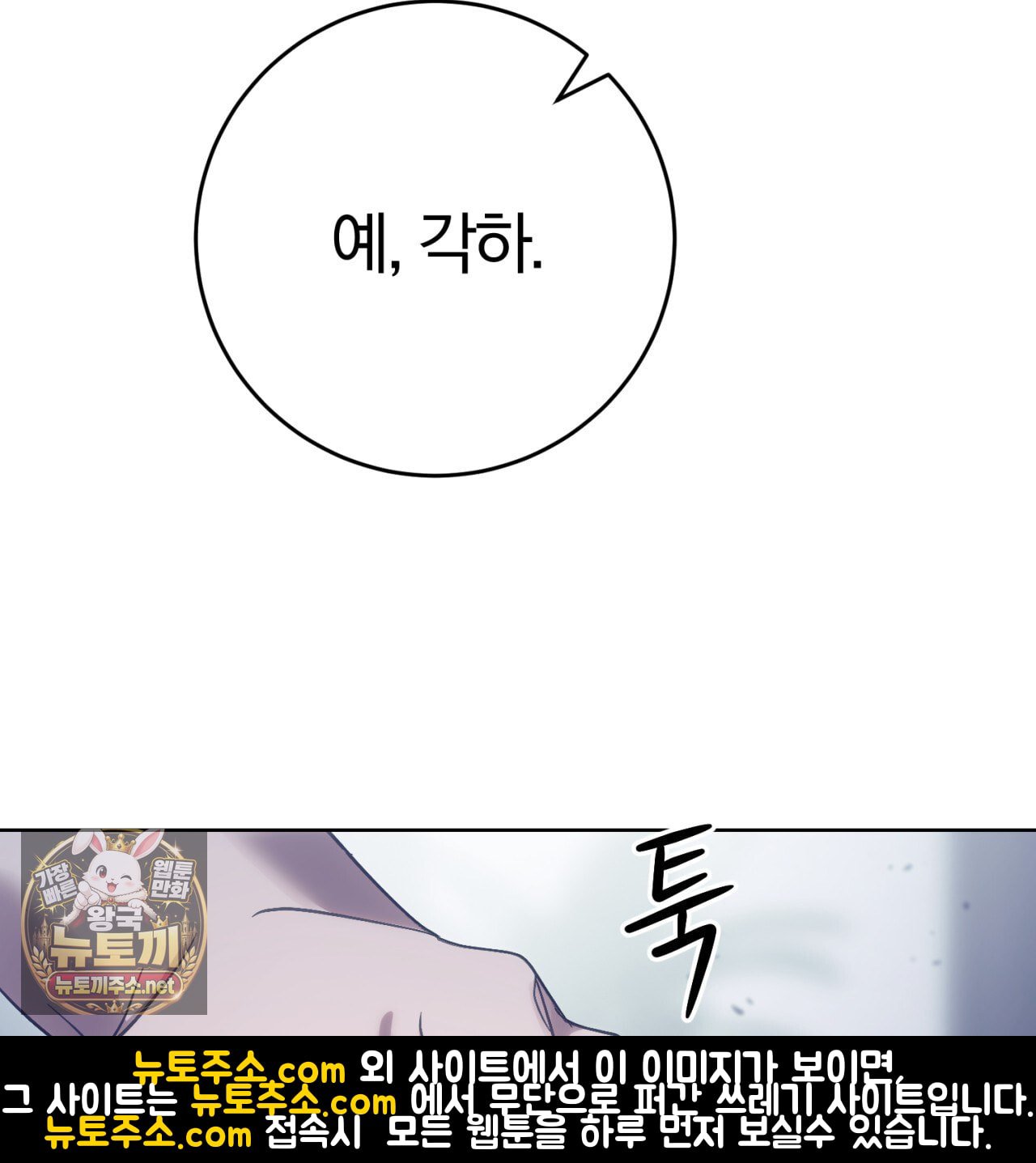 141.jpg