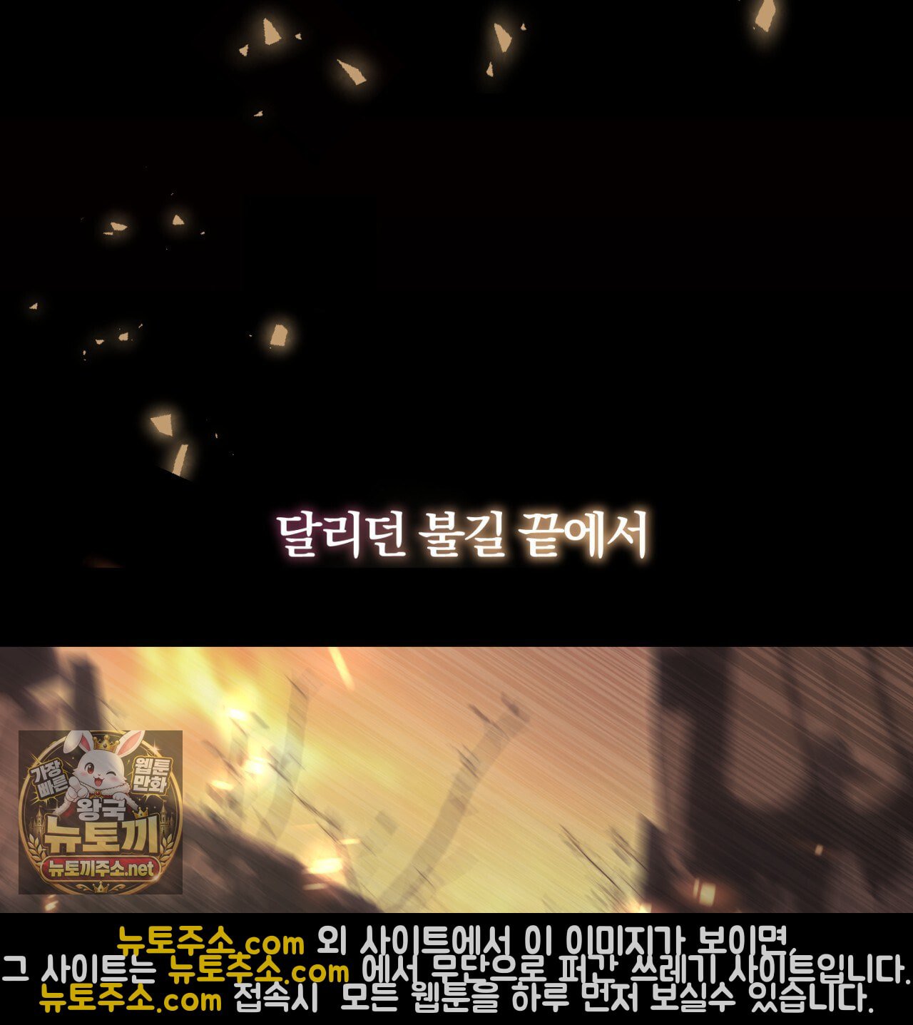 113.jpg