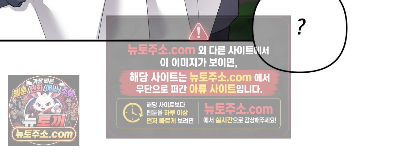 204.jpg