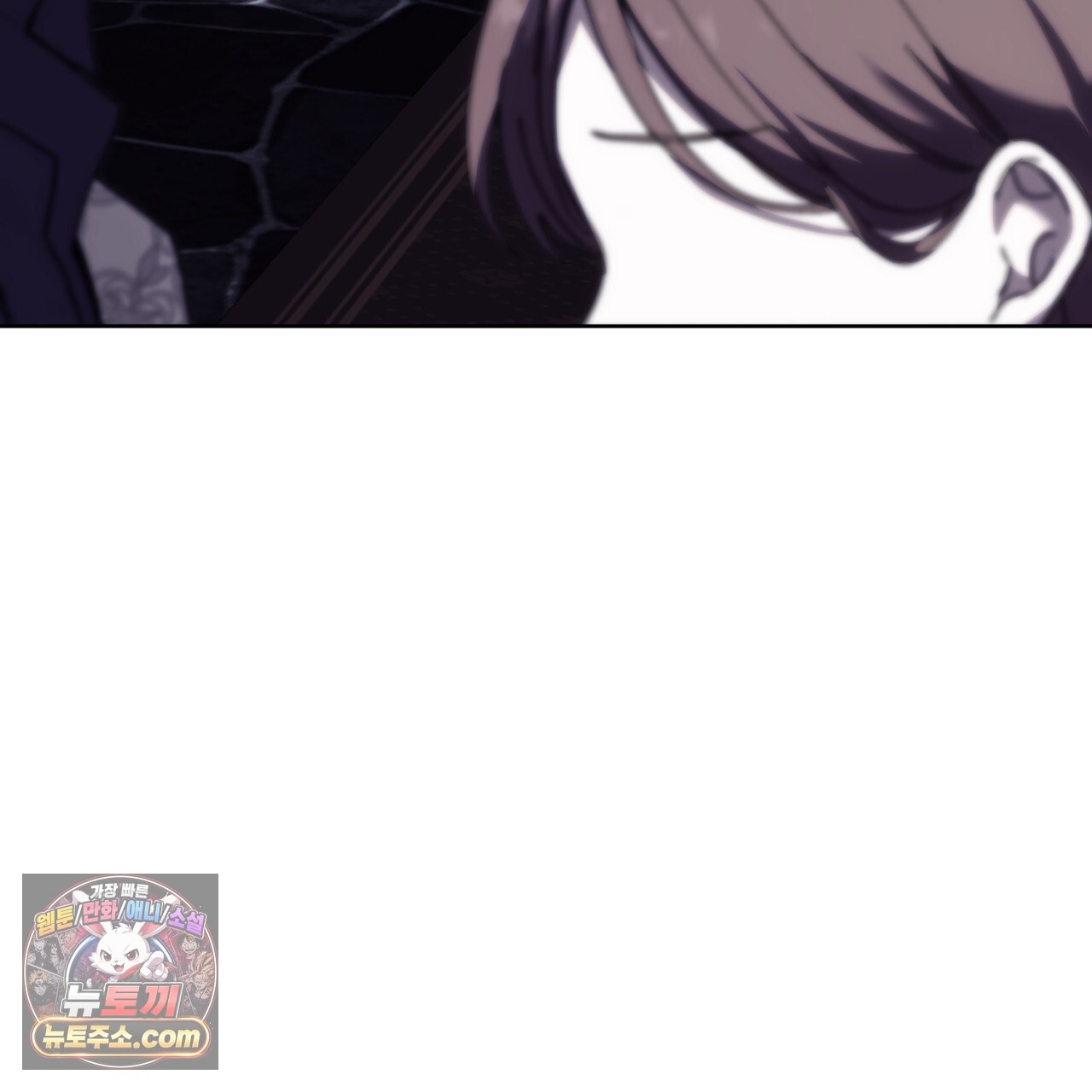 241.jpg